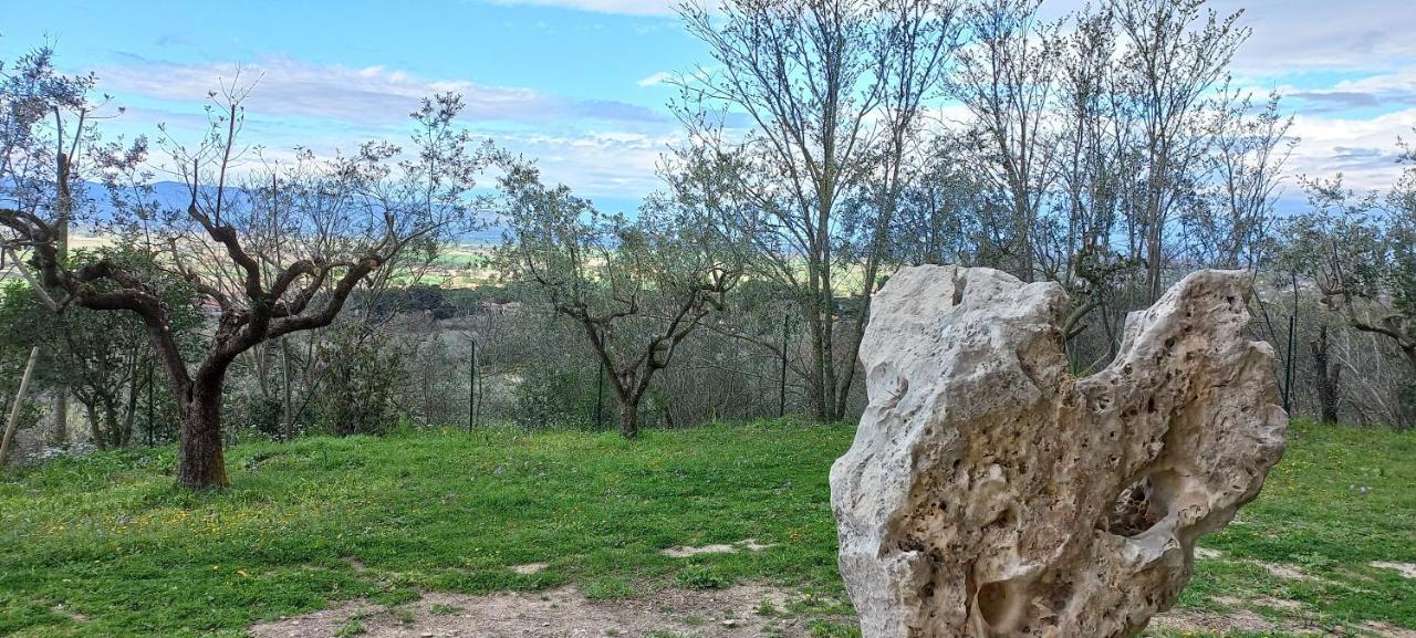 Domus Antiqua Bed & Breakfast Spello Buitenkant foto
