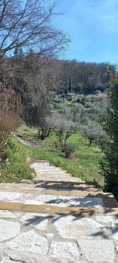 Domus Antiqua Bed & Breakfast Spello Buitenkant foto