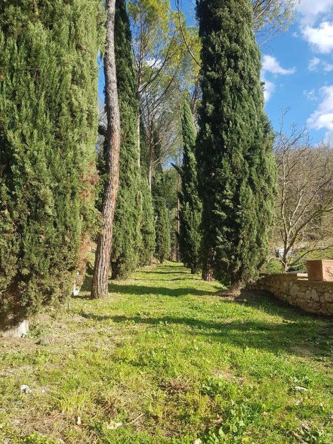 Domus Antiqua Bed & Breakfast Spello Buitenkant foto