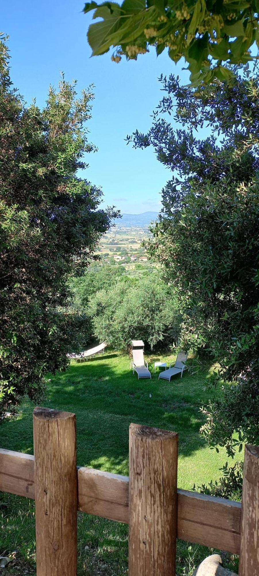 Domus Antiqua Bed & Breakfast Spello Buitenkant foto