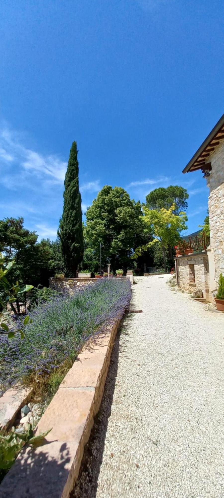 Domus Antiqua Bed & Breakfast Spello Buitenkant foto