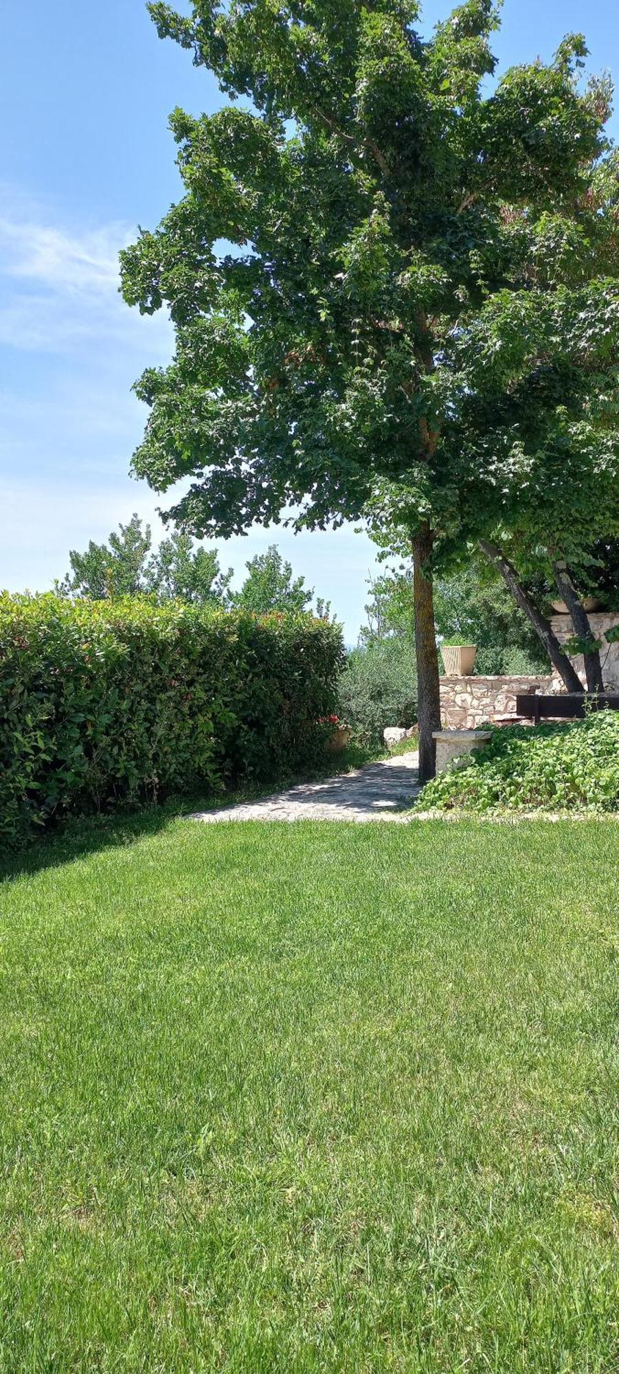 Domus Antiqua Bed & Breakfast Spello Buitenkant foto
