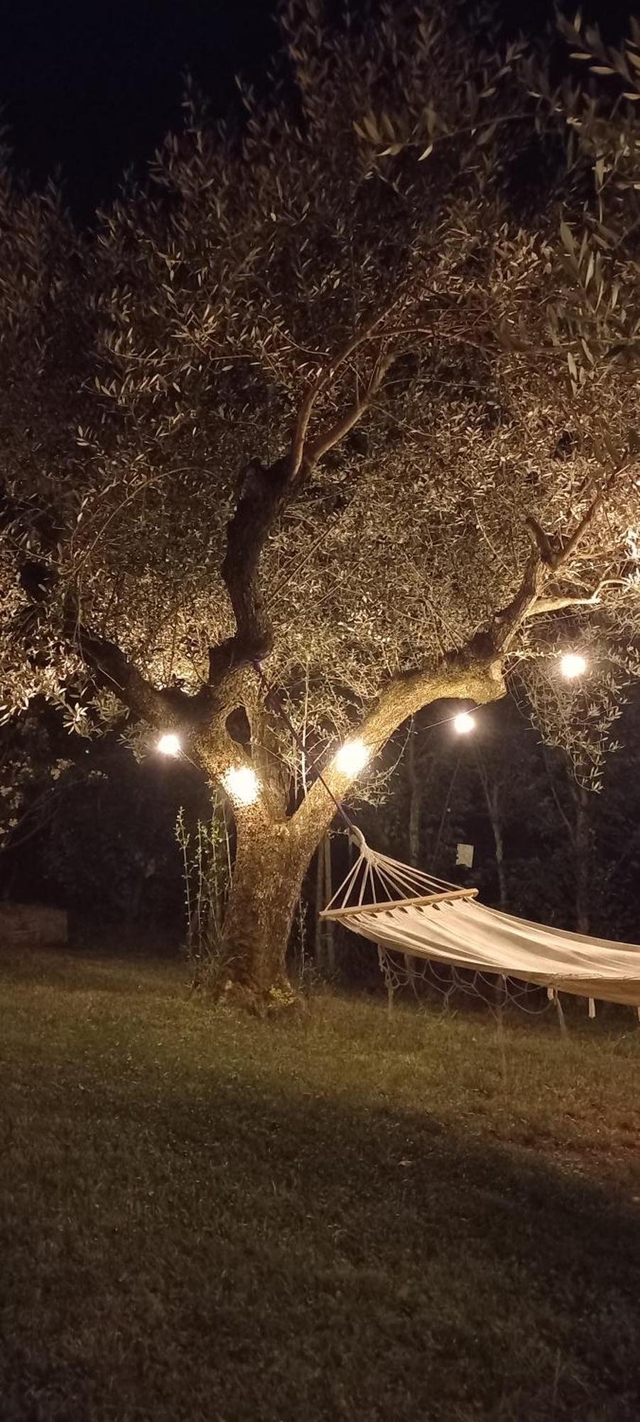 Domus Antiqua Bed & Breakfast Spello Buitenkant foto